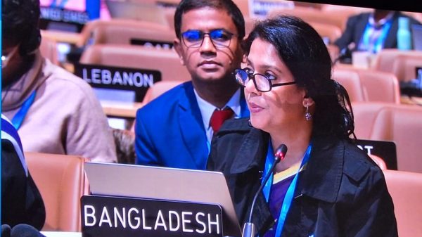 কপ২৯ এ অনুদানভিত্তিক অর্থ বরাদ্দের আহ্বান পরিবেশ উপদেষ্টার